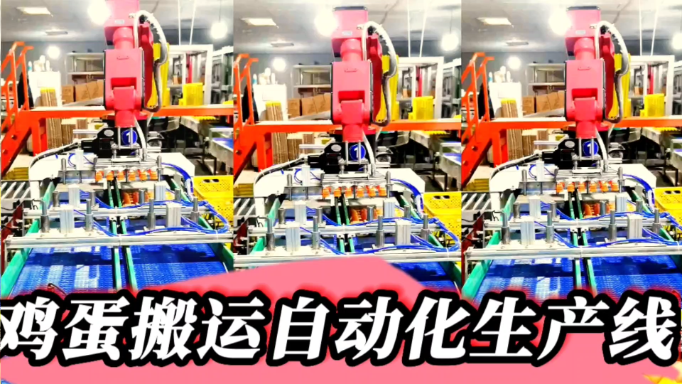 雞蛋分揀自動化生產線中有哪些工序江蘇常州萊柯工業？